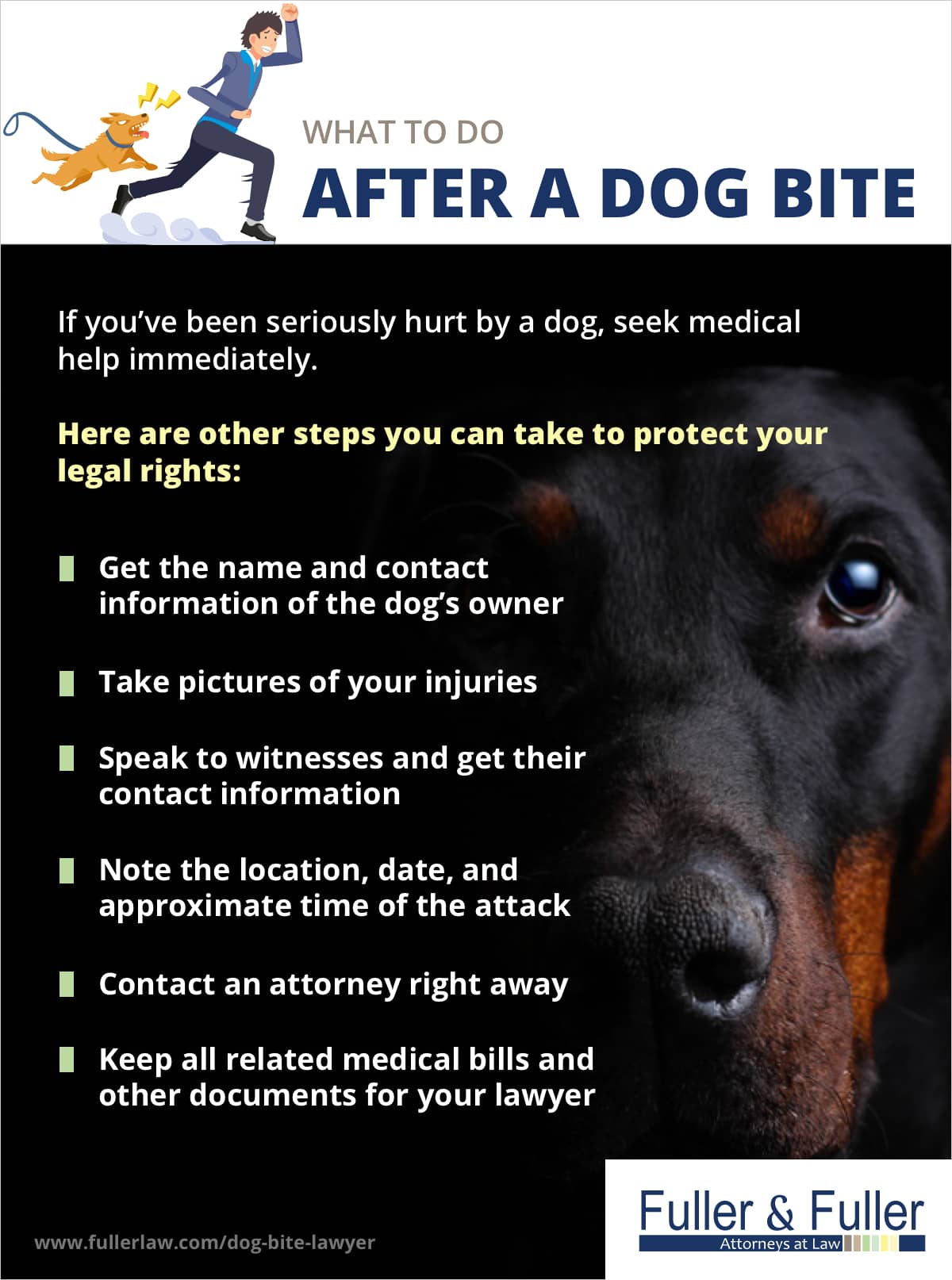 What to Do After a Dog Bite | Fuller and Fuller Attorneys at Law