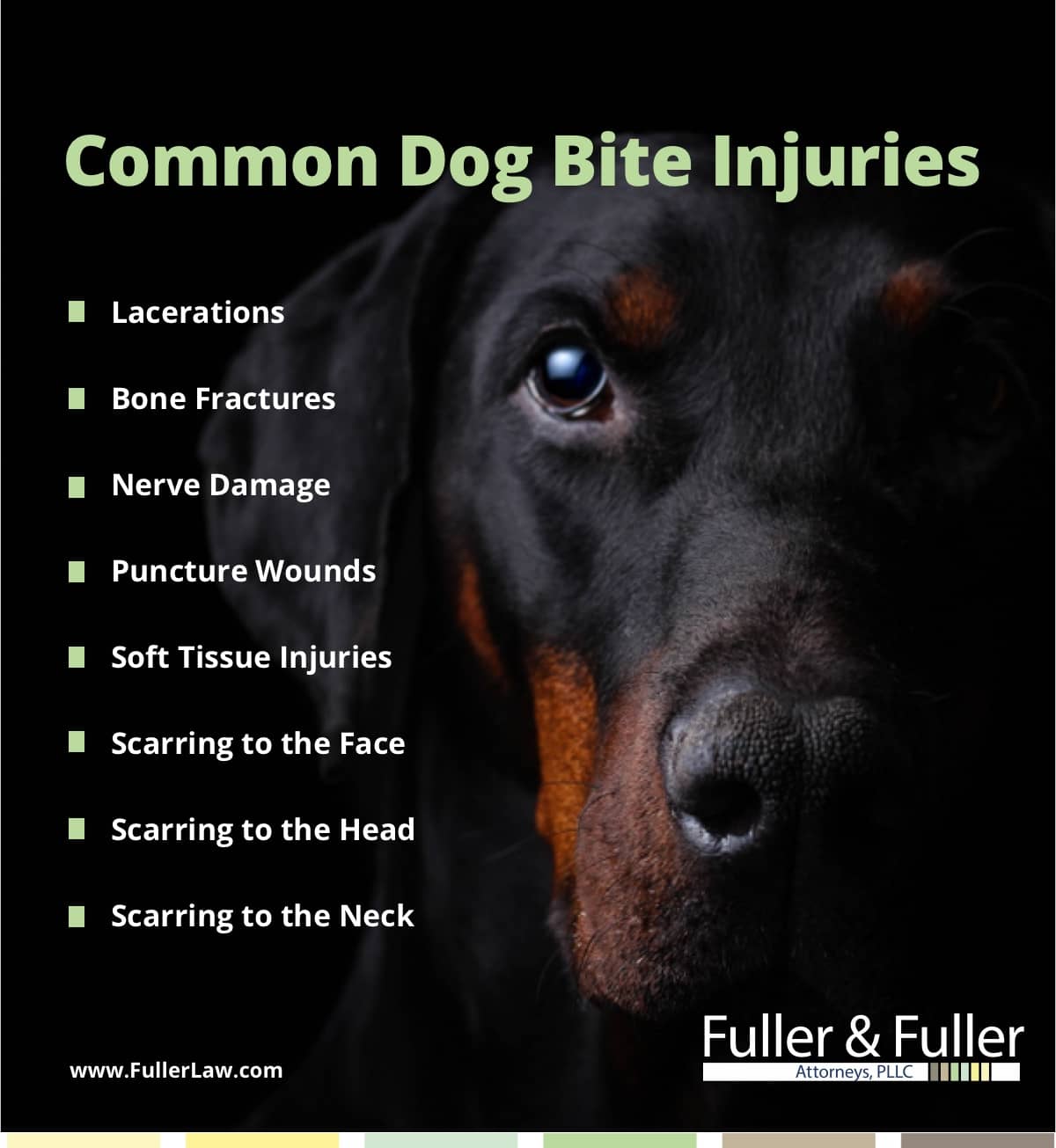 Can A Dog Bite Cause Nerve Damage
