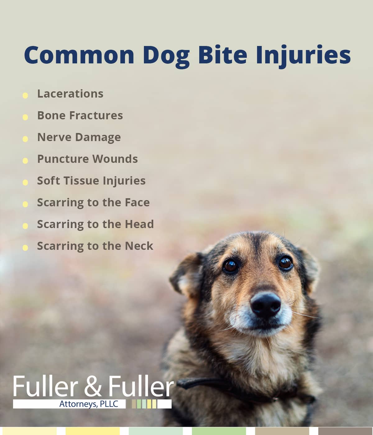 fresno dog bite attorney