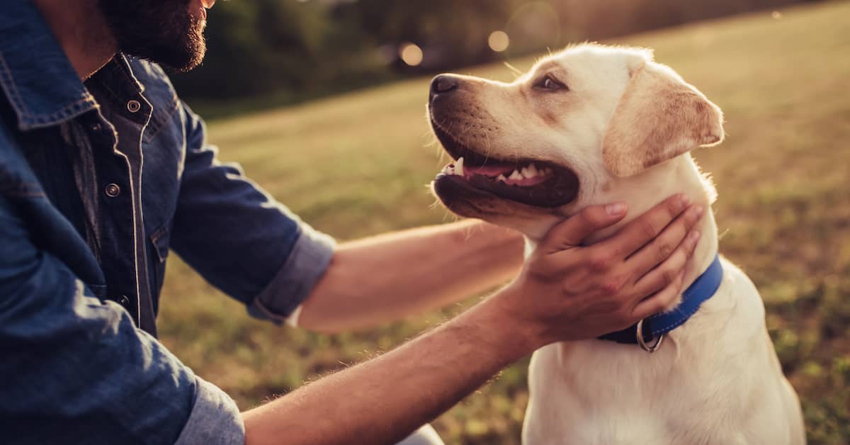 a man sits with a dog | Fuller and Fuller, Attorneys PLLC